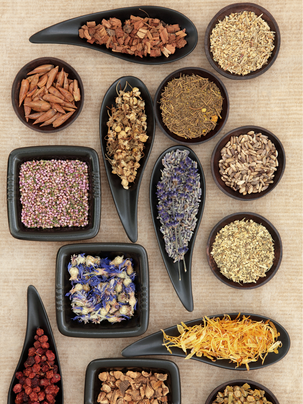 A propos Nabevie (1)